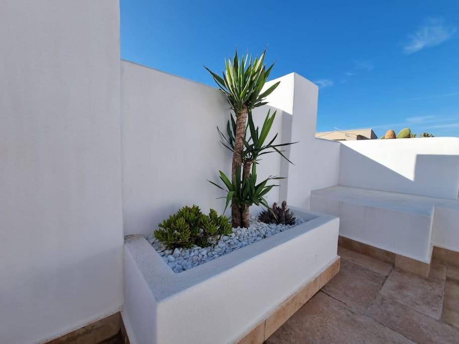 Casa Lina Del Mar Apartment Oliva Exterior photo